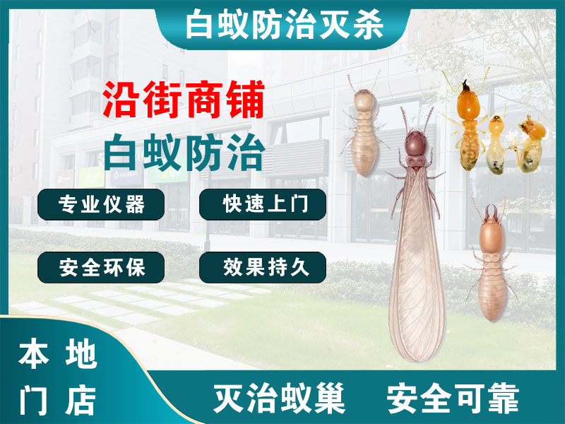 崇明区沿街商铺白蚁防治
