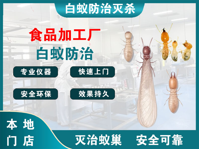 崇明区食品加工厂白蚁防治