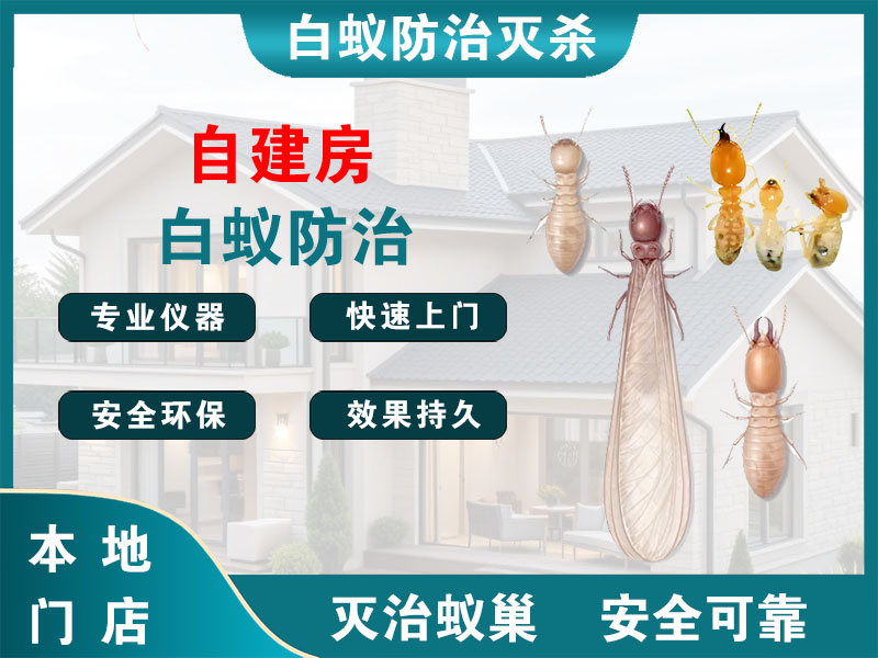 崇明区自建房白蚁防治