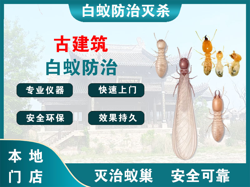 崇明区古建筑白蚁防治