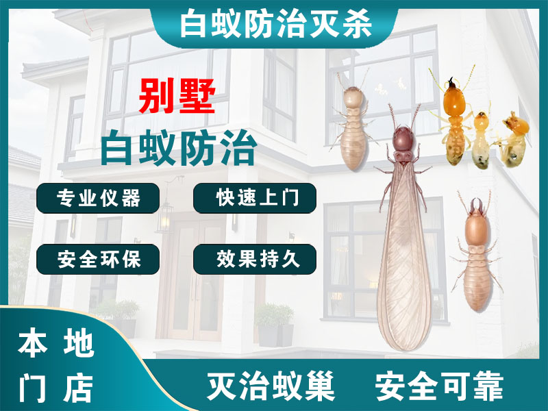 崇明区别墅白蚁防治